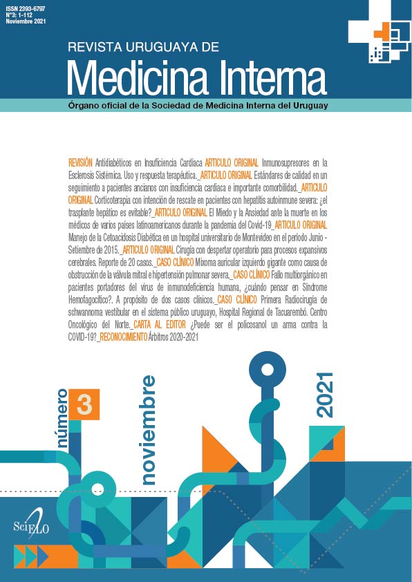 					Ver Vol. 6 Núm. 3 (2021): Revista Uruguaya de Medicina Interna
				